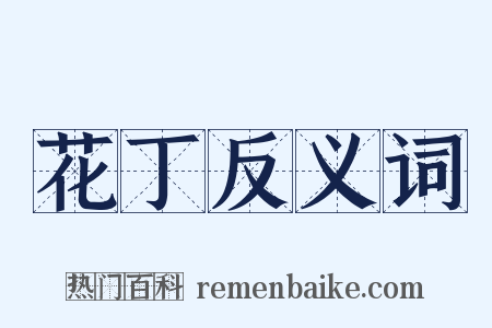 花丁反义词是什么意思的图片